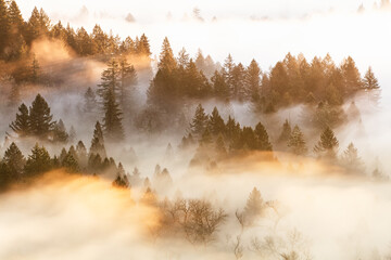 Keuken achterwand Mistige ochtendstond Mist tussen ruige bergtoppen  © Paloma Ayala