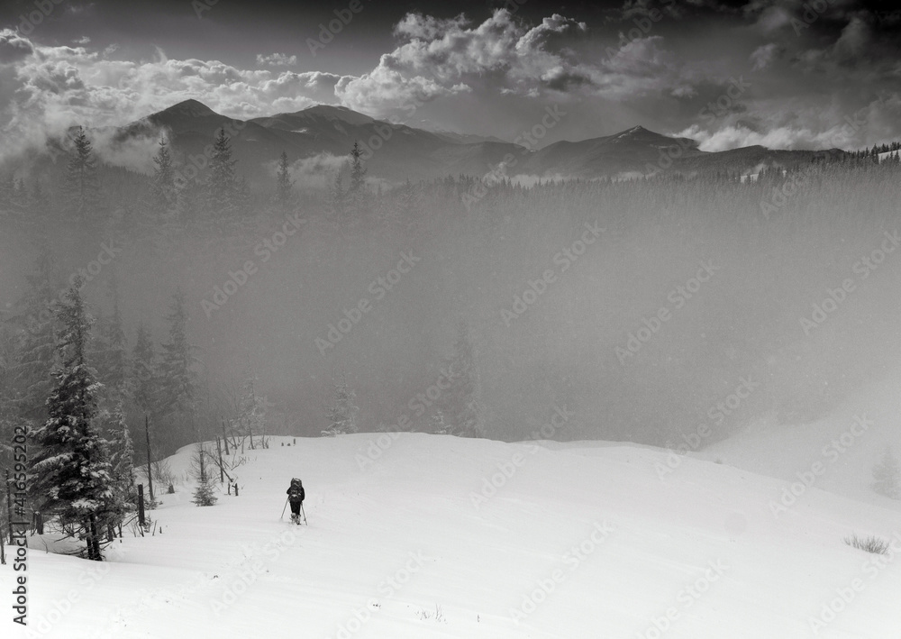 Fototapeta premium Lonely hiker with backpack walking along the trail on the slope. A view of the snow-capped mountains in the distance. Travel lifestyle concept. Black and white winter landscape.