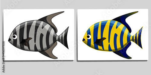 A set of two cute marine fish, one is gray shade and one is created with many beautiful colors. Vector image in cartoon style.