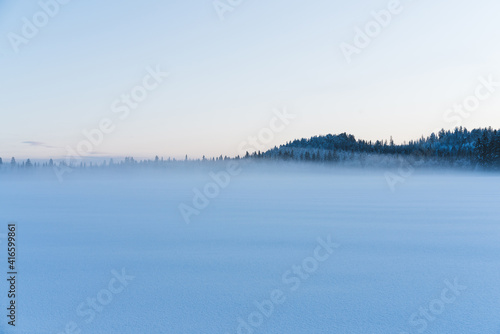 Beautiful blue winter blurred snow background with free space for your text. Winter background, winter landscape with copy space. Foggy winter morning. Frosty haze. Snowy forest on the horizon. © eskstock