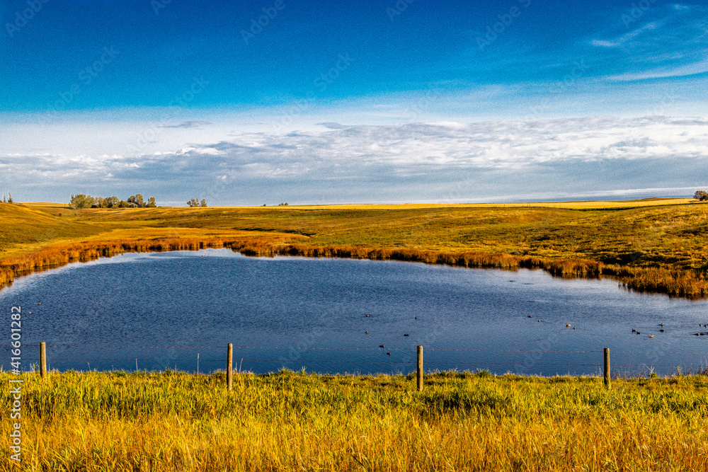 Ponds in farmers filedsin fall. Rockyview County, Alberta, Canada Ponds in farmers filedsin fall. Rockyview County, Alberta, Canada