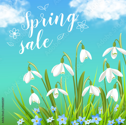 Snowdrops and green grass on a blue sky background.