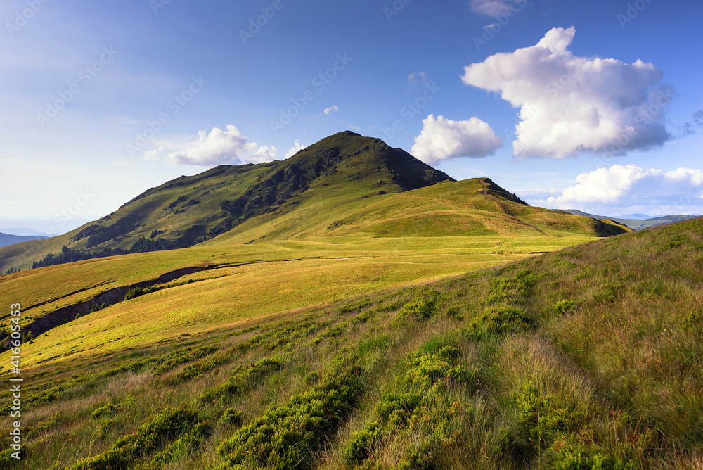 Fototapeta premium Wonderful springtime landscape in mountains a sunny day. View of grassy slopes and forested hills. Wild scenery. Carpathian. Romania. Europe.