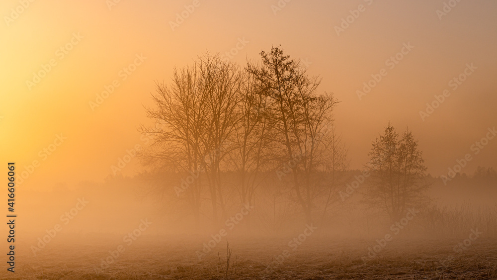 Durch Saharastaub gelb gefärbter Sonnenaufgang