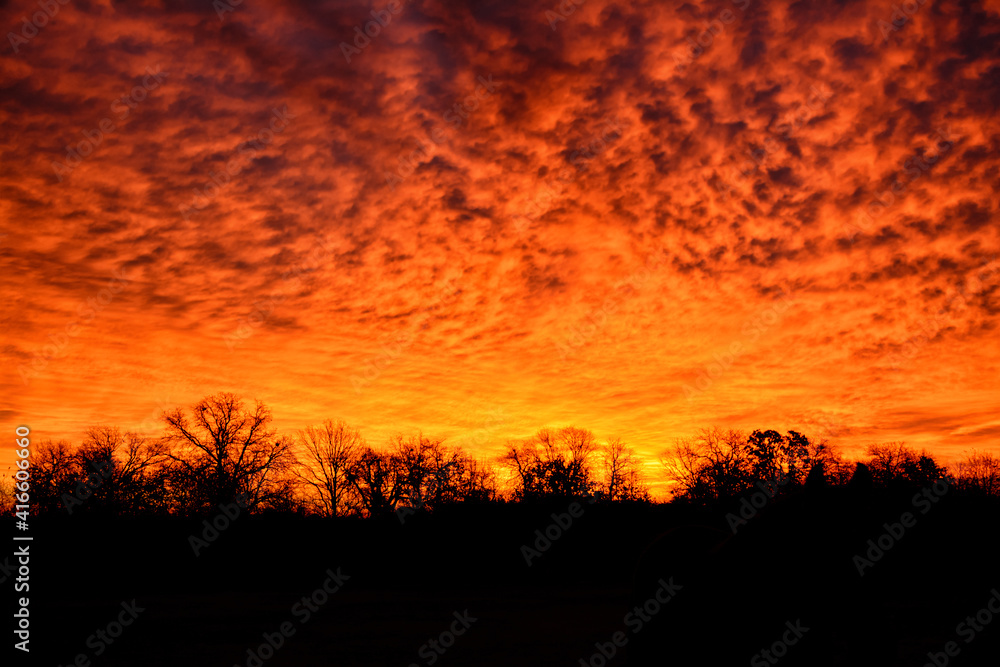 Dramatic morning sky before sunrise, with yellow and orange hues against silhouetted trees in rural landscape