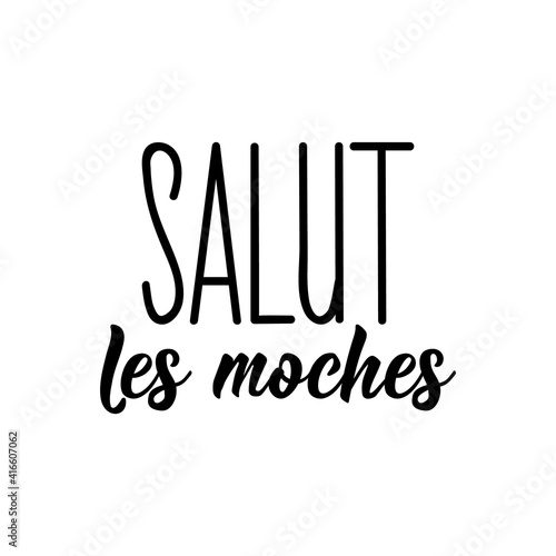 Hello ugly - in French language. Lettering. Ink illustration. Modern brush calligraphy. Salut les moches