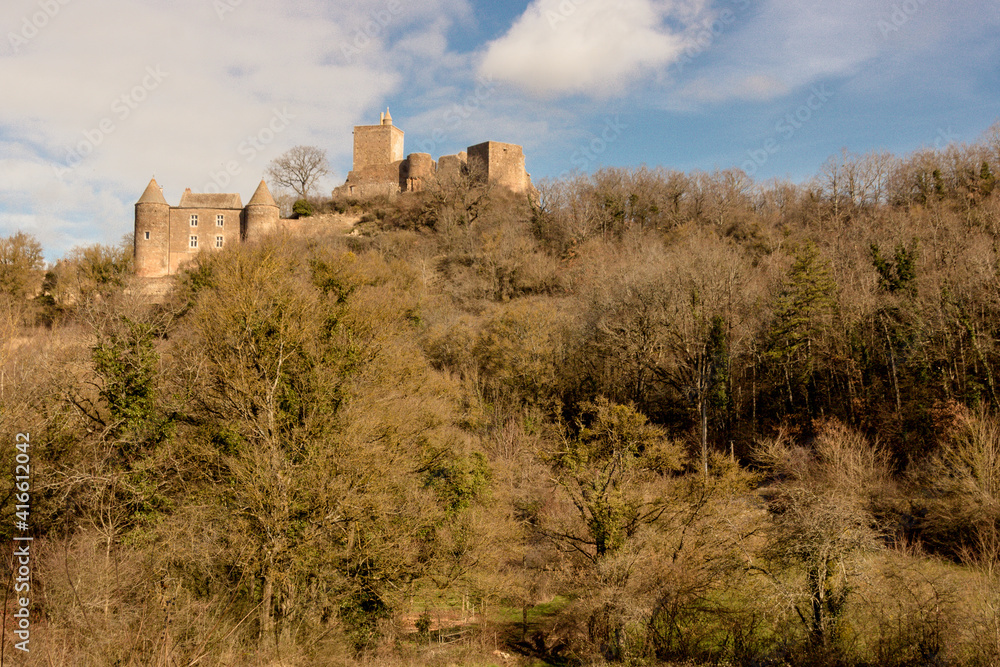 Le château de Brancion est un ancien château fort, du 13ième siècle, dont les vestiges se dressent sur la commune de Martailly-lès-Brancion dans le département de Saône-et-Loire, en région Bourgogne.