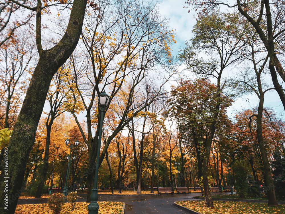 Naklejka premium Autumn season park alley with trees with yellow and green leaves on blue cloudy sky, natural city park foliage