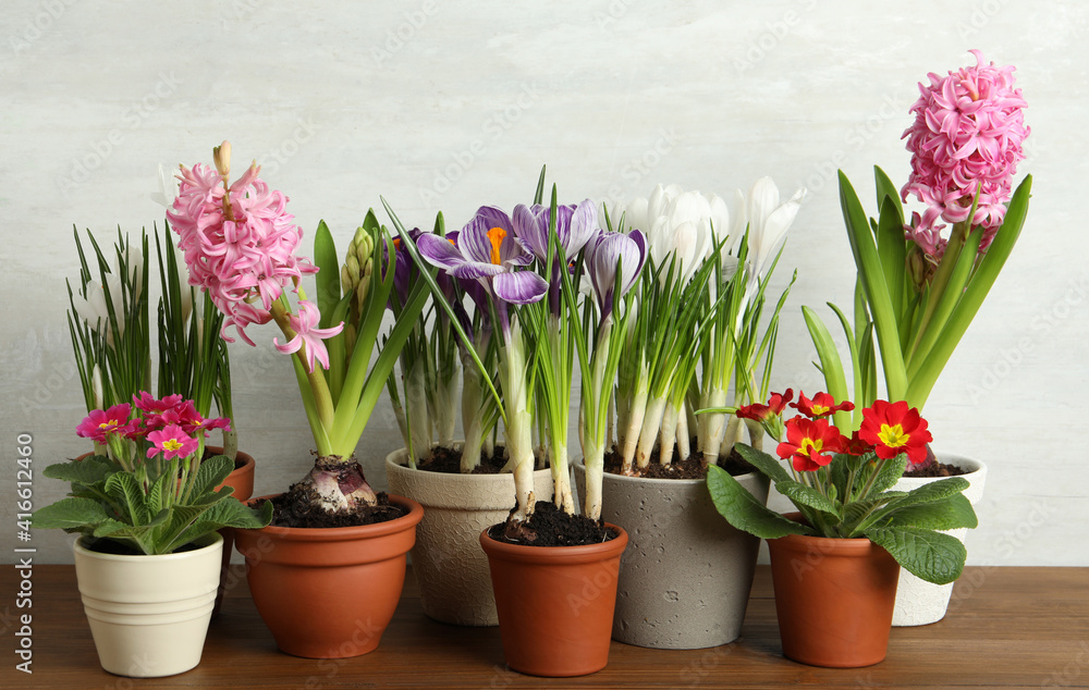 Different flowers in ceramic pots on wooden table