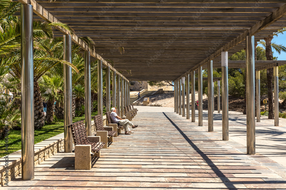 Fototapeta premium beach, holiday 