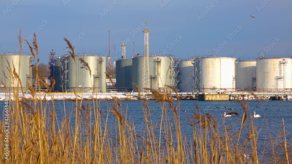 Industrial landscape. Wild birds swans and seagulls in the water area of the seaport, Ukraine Industrial landscape. Wild birds swans and seagulls in the water area of the seaport, Ukraine