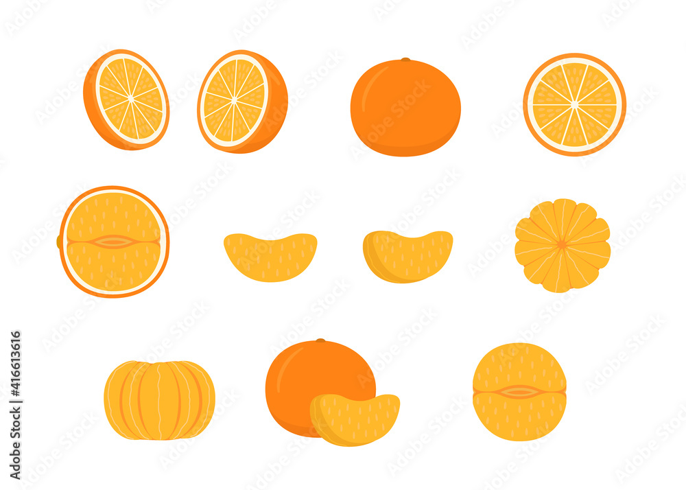 Set of ripe orange mandarin - whole, cut half, piece and slice of mandarin. Mandarin, tangerin or clementine. Fresh sour citrus fruit with vitamins. Vector illustration isolated on white background Set of ripe orange mandarin - whole, cut half, piece and slice of mandarin. Mandarin, tangerin or clementine. Fresh sour citrus fruit with vitamins. Vector illustration isolated on white background