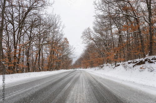 White road in the snowy forest