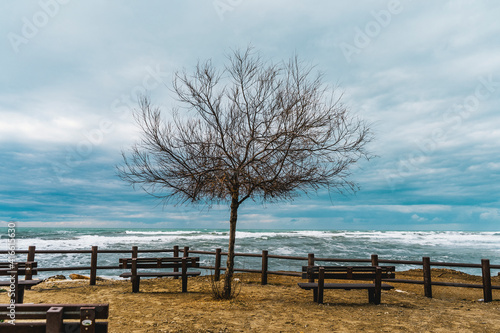 Sea waves in winter with a lone tree and two benches on the foreground in a windy and cloudy day, waterfront of San Vincenzo, province of Livorno, Tuscany, Italy. 