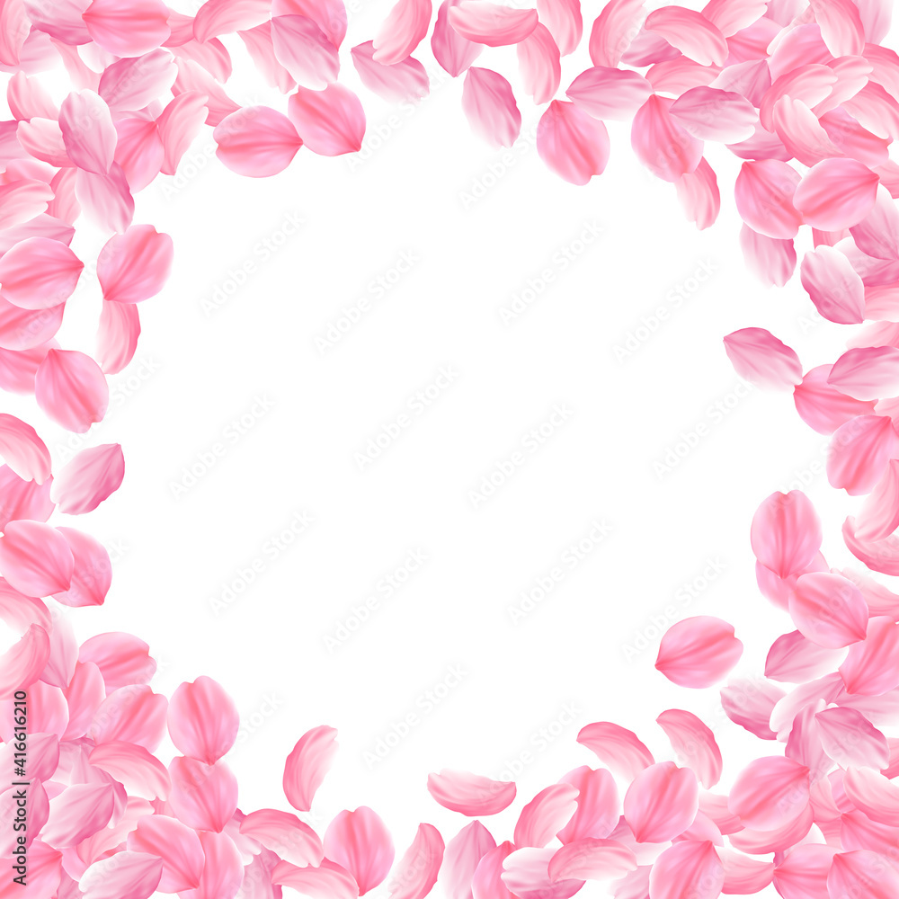 Sakura petals falling down. Romantic pink bright big flowers. Thick flying cherry petals. Circle fra