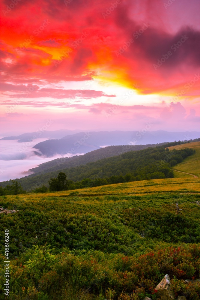 vertical foggy mountains scenery, stunning summer dawn landscape, hills mountains covered forest on background morning valley in golden sunlight and dramatic sky, amazing panoramic nature scenery.