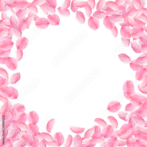 Sakura petals falling down. Romantic pink bright big flowers. Thick flying cherry petals. Circle fra © Begin Again