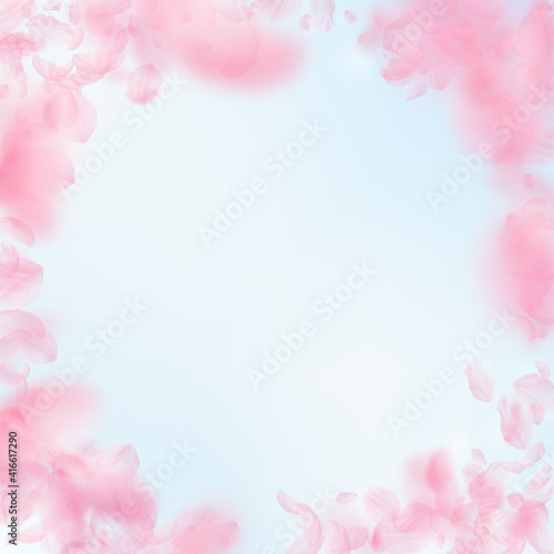 Sakura petals falling down. Romantic pink flowers vignette. Flying petals on blue sky square backgro