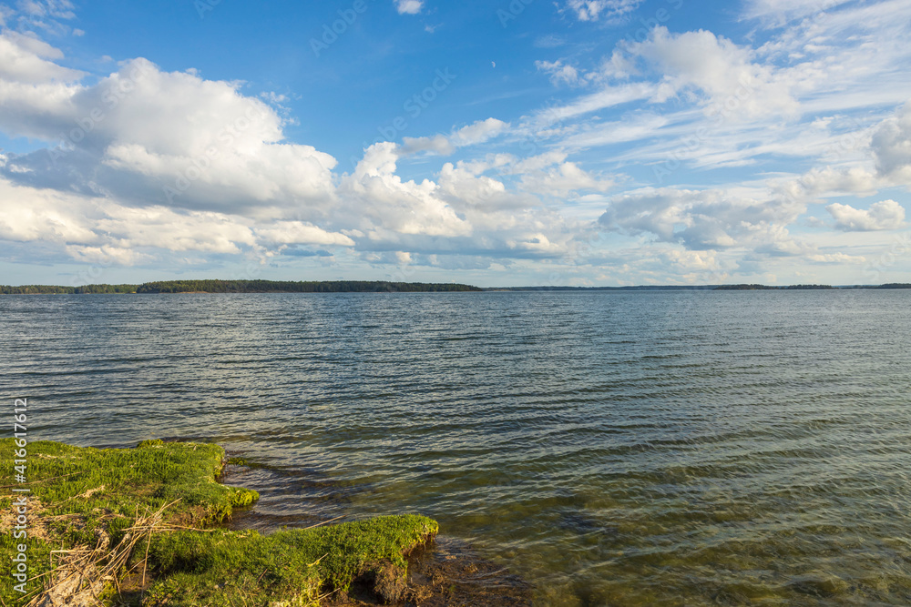 Beautiful natural Baltic sea landscape view. Green grass sea coast and calm water surface. Sweden.