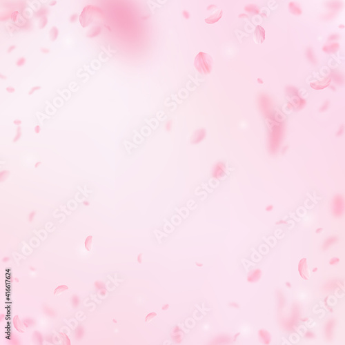 Sakura petals falling down. Romantic pink flowers vignette. Flying petals on pink square background.