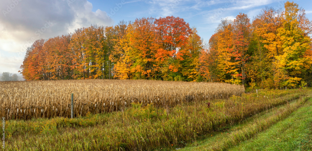 Fototapeta premium Colorful Autumn Scenic drive in central Michigan countryside