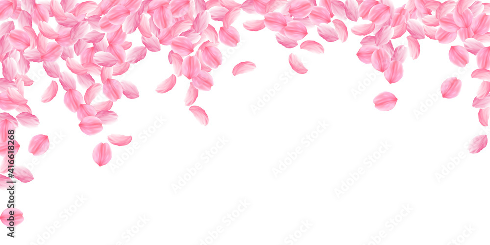 Sakura petals falling down. Romantic pink bright big flowers. Thick flying cherry petals. Wide falli