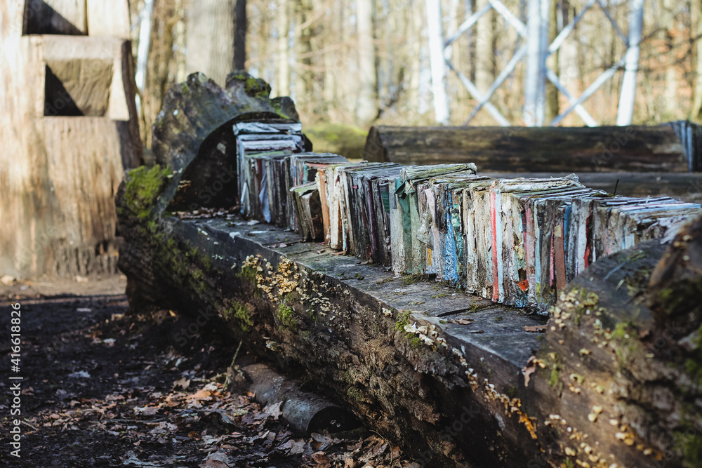 forest library old books installation in the forest