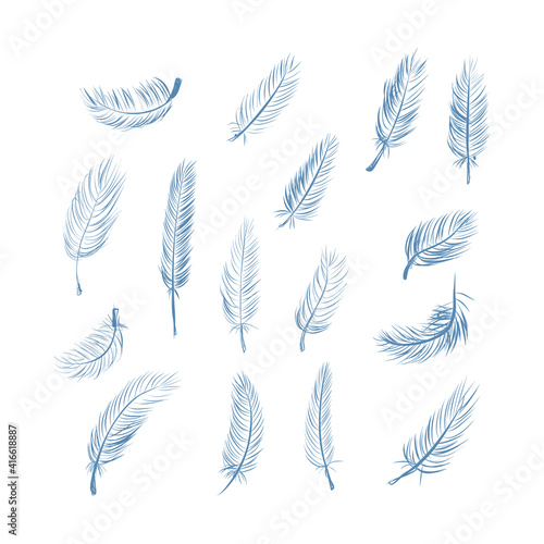 Fluffy feather collection. Realistic quill feathers for pen detail elegant silhouette. Sketch bird plume set. Vector.