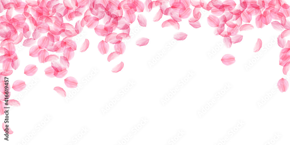 Sakura petals falling down. Romantic pink silky big flowers. Thick flying cherry petals. Wide fallin