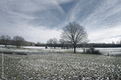winter landscape with snow