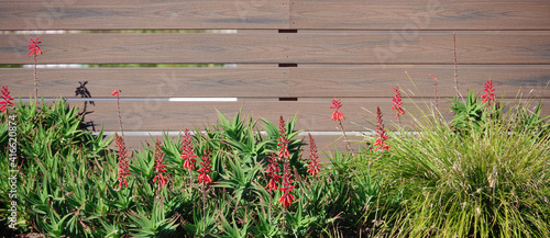 Industrial wood fence with red aloe flowers in front