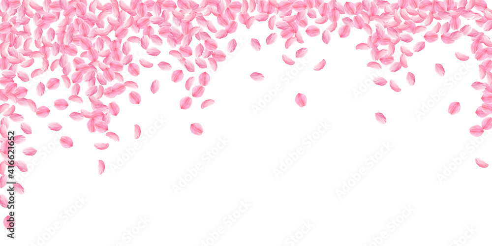 Sakura petals falling down. Romantic pink bright medium flowers. Thick flying cherry petals. Wide fa