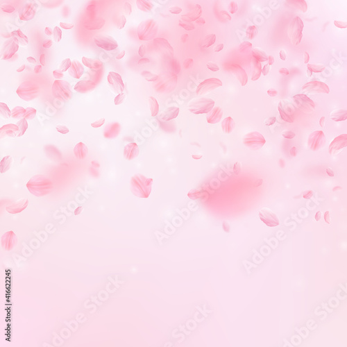 Sakura petals falling down. Romantic pink flowers falling rain. Flying petals on pink square backgro