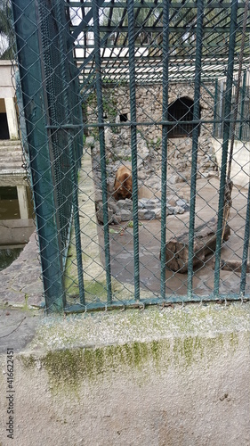 The Hamma Zoological Park is one of the oldest zoos in Africa, housing various animals including predators and carnivores. Zoo de Ben Aknoun, located on the outskirts of Algiers
