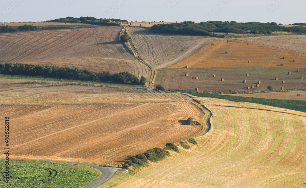 Fototapeta premium paysages de champs cultivés pendant la période des moissons en été