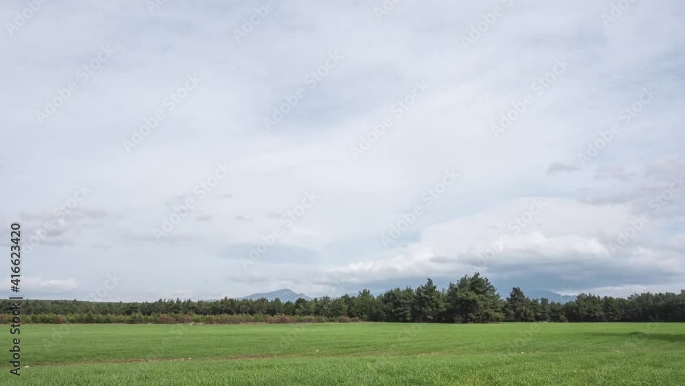 Grassland by the Forest Under Darkening Sky Grassland by the Forest Under Darkening Sky