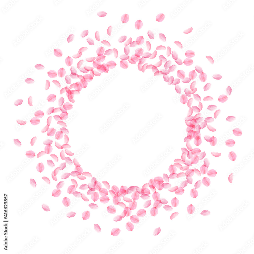 Sakura petals falling down. Romantic pink silky small flowers. Thick flying cherry petals. Frame cir Sakura petals falling down. Romantic pink silky small flowers. Thick flying cherry petals. Frame cir