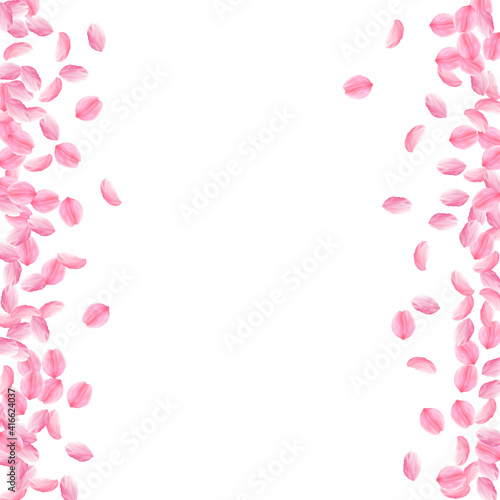 Sakura petals falling down. Romantic pink bright medium flowers. Thick flying cherry petals. Messy b