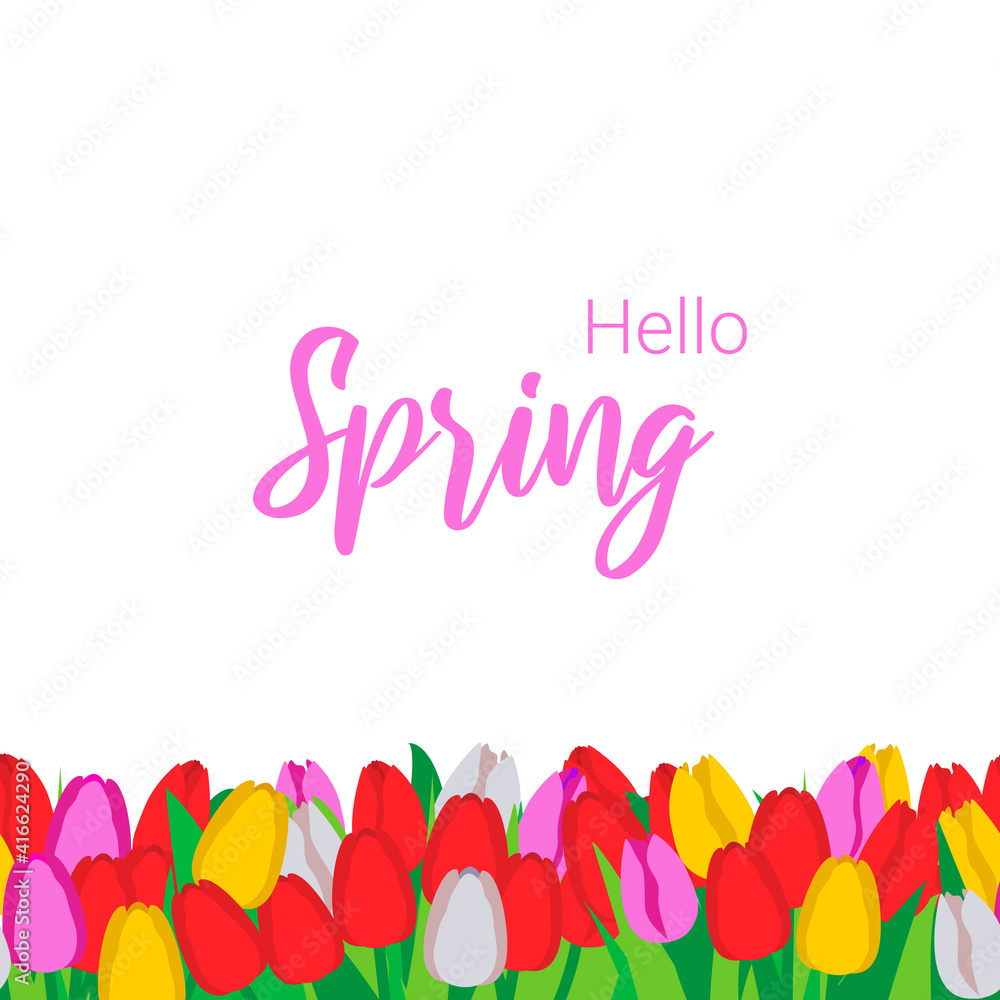 Hello Spring. Spring pattern with tulips floral seamless border. Vector illustration in flat style.