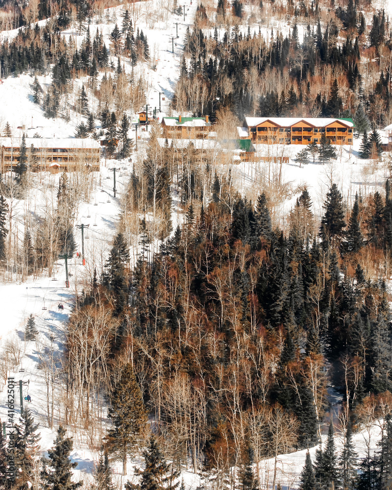 Obraz premium OLYMPUS DIGITAL CAMERA