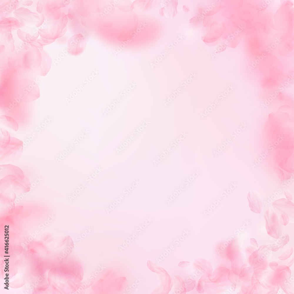 Sakura petals falling down. Romantic pink flowers vignette. Flying petals on pink square background.