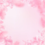 Sakura petals falling down. Romantic pink flowers vignette. Flying petals on pink square background.