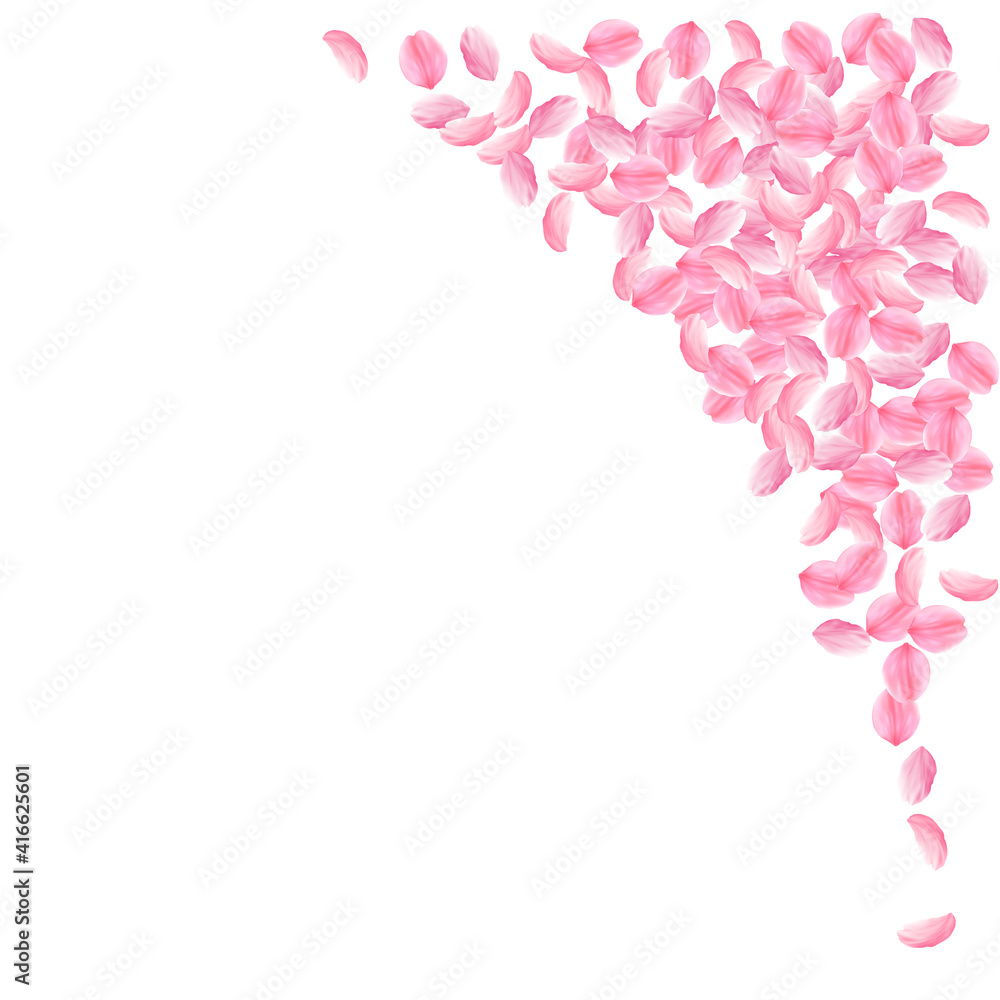 Sakura petals falling down. Romantic pink bright medium flowers. Thick flying cherry petals. Top rig