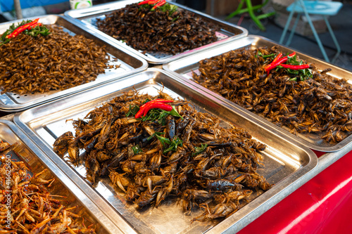 Asian food market. A counter with fried insects