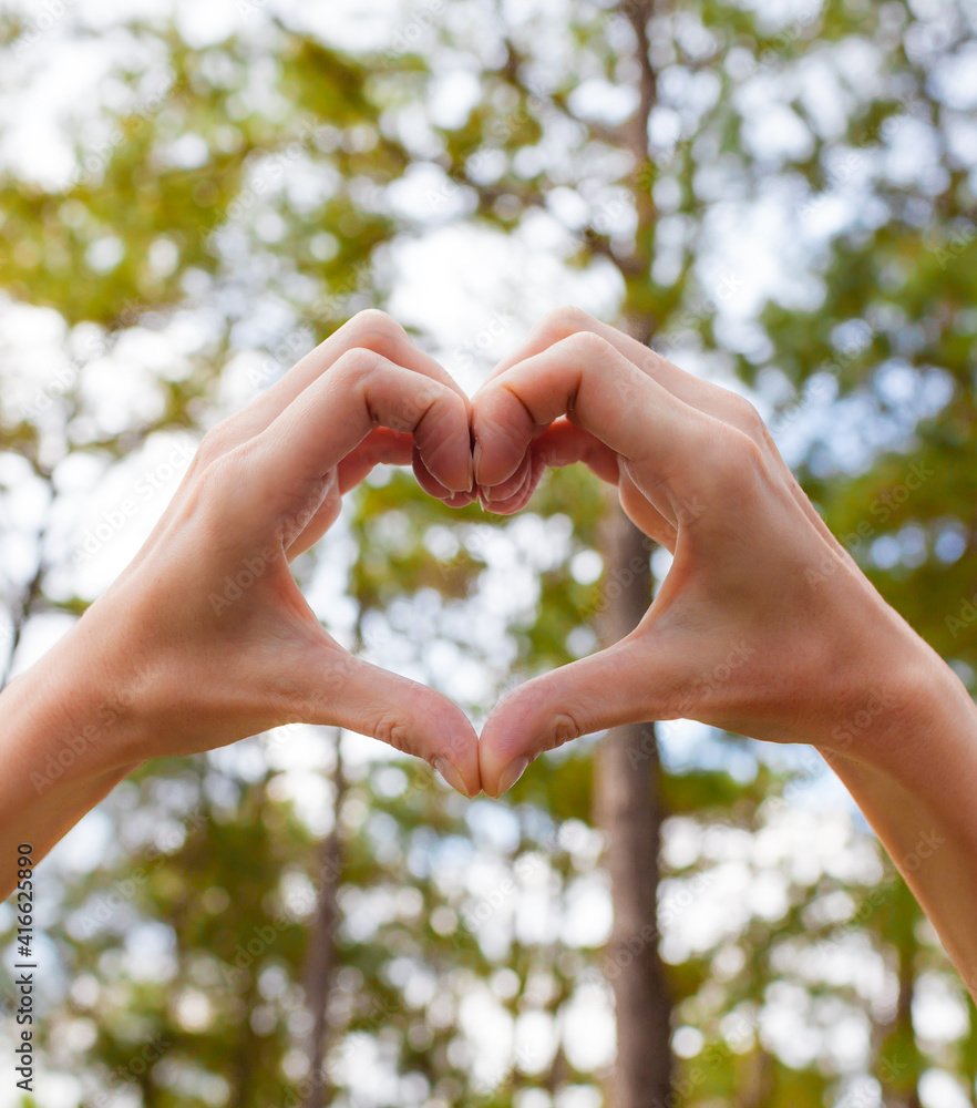 Hand shaped heart on nature forest background. 