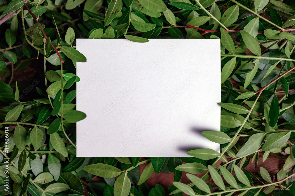 Paper Card Mockup on a Green Leaves for design of invitation, advertising card. Paper Card Mockup on a Green Leaves for design of invitation, advertising card.
