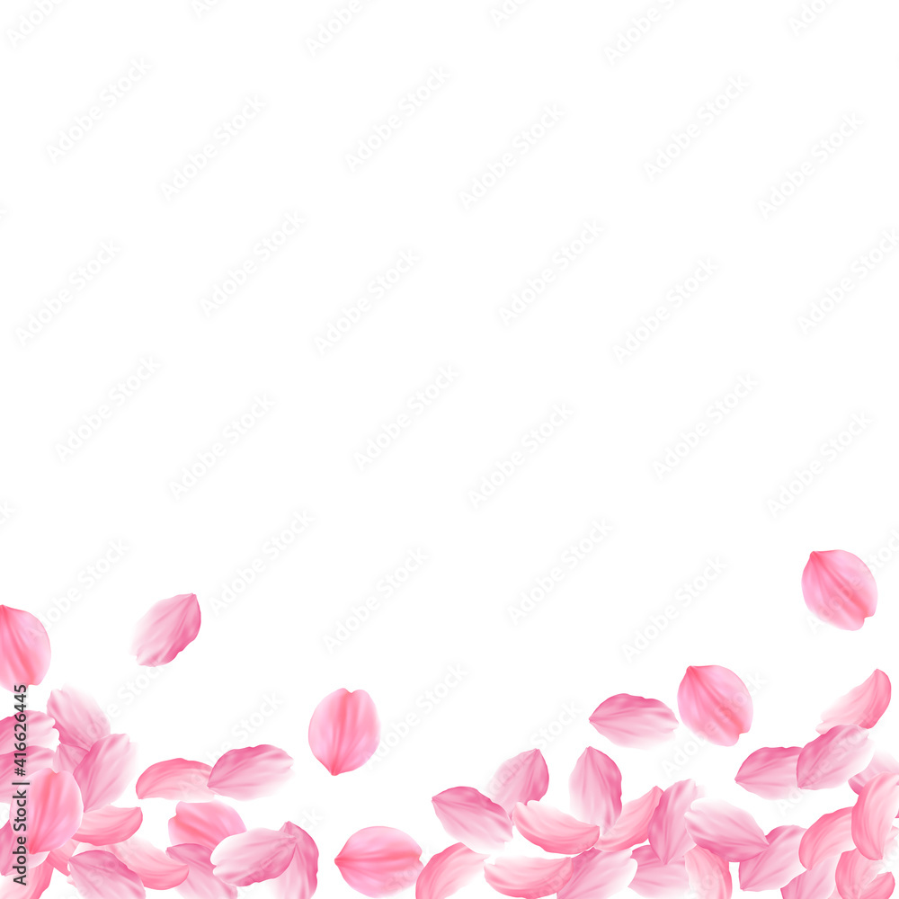 Sakura petals falling down. Romantic pink bright big flowers. Thick flying cherry petals. Square bot Sakura petals falling down. Romantic pink bright big flowers. Thick flying cherry petals. Square bot