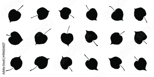 various linden leaf silhouettes on the white background