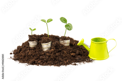 Gold coins in the soil with a young plant. The concept of money growth.