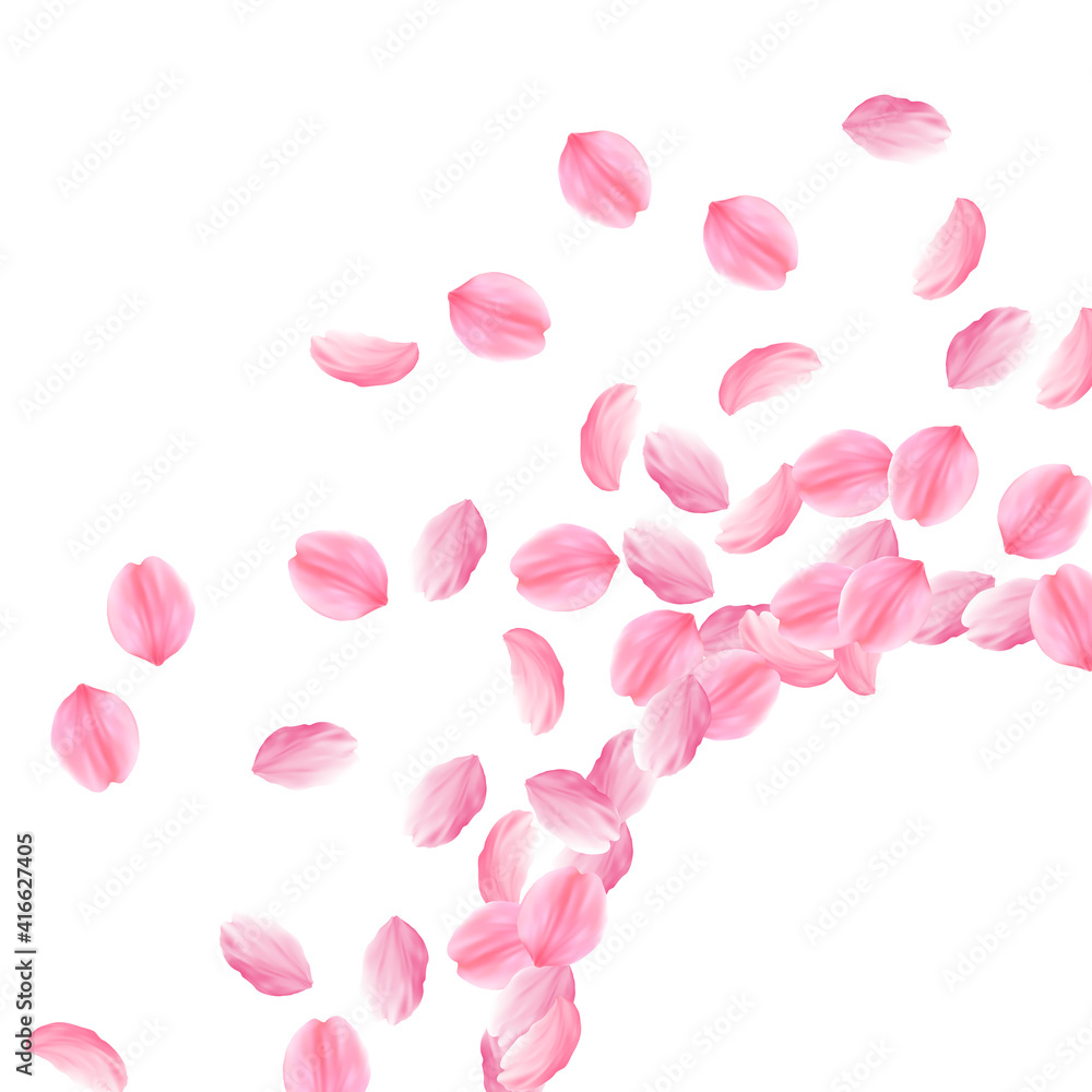 Sakura petals falling down. Romantic pink bright big flowers. Thick flying cherry petals. Radiant co